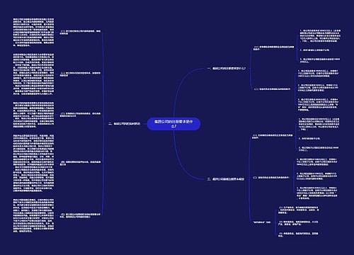 集团公司的注册要求是什么?