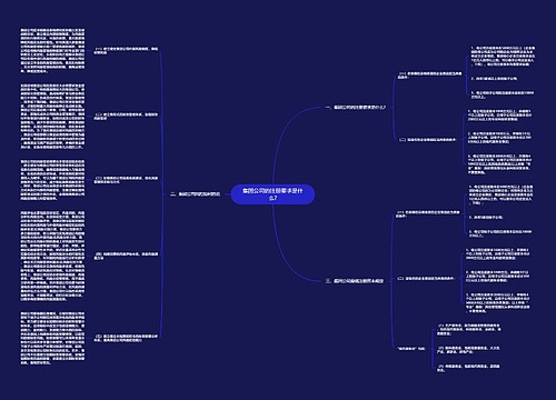 集团公司的注册要求是什么?