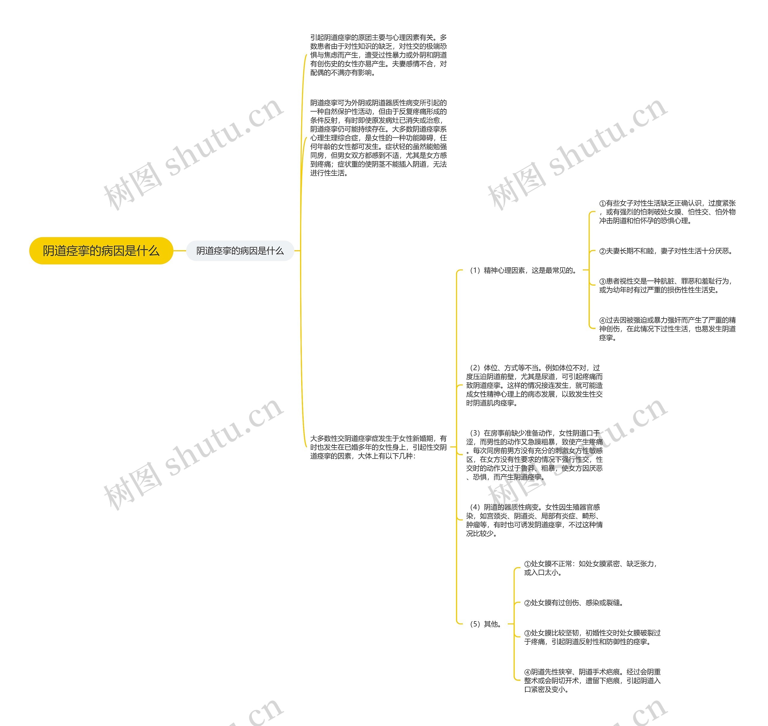 阴道痉挛的病因是什么思维导图
