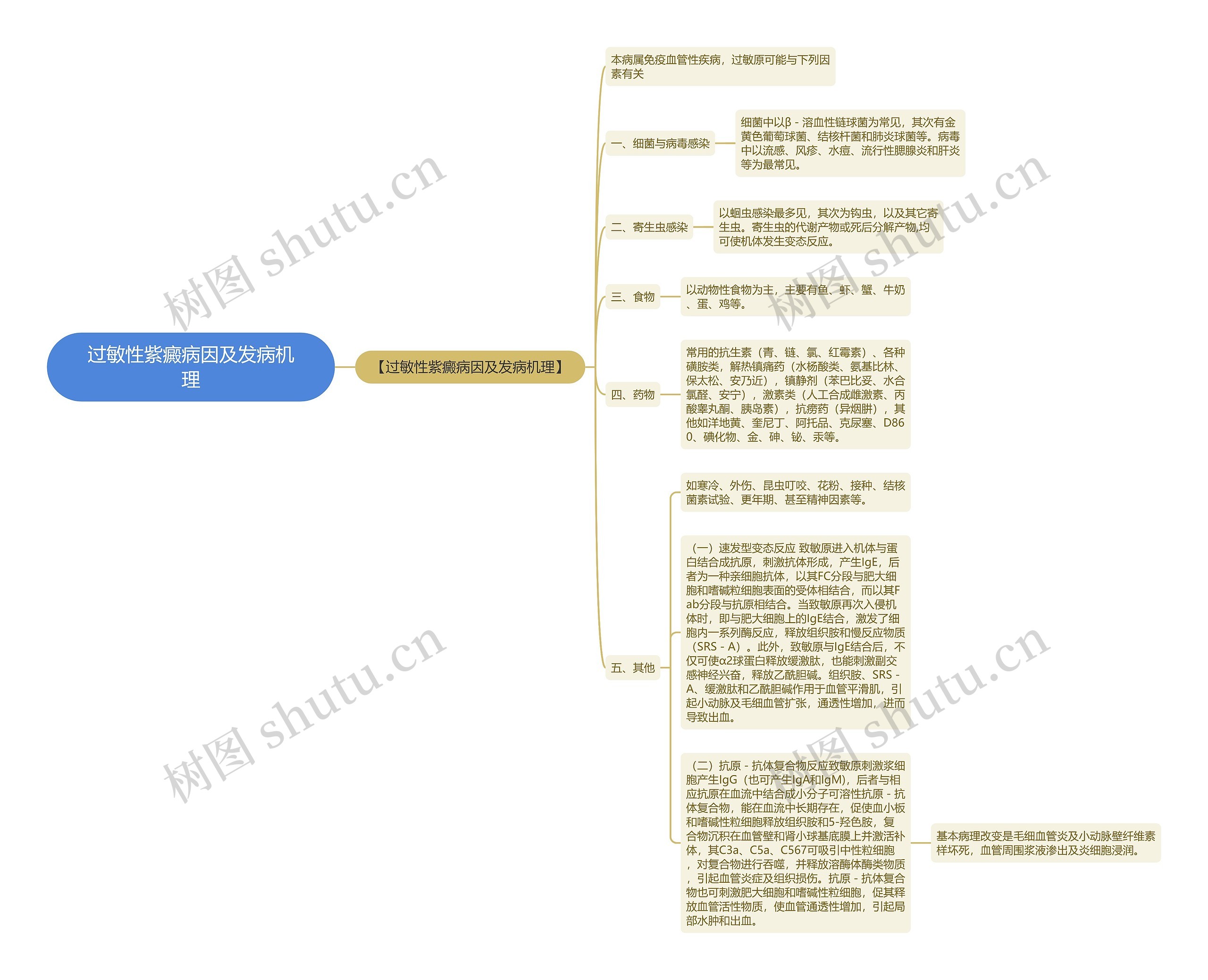 过敏性紫癜病因及发病机理思维导图