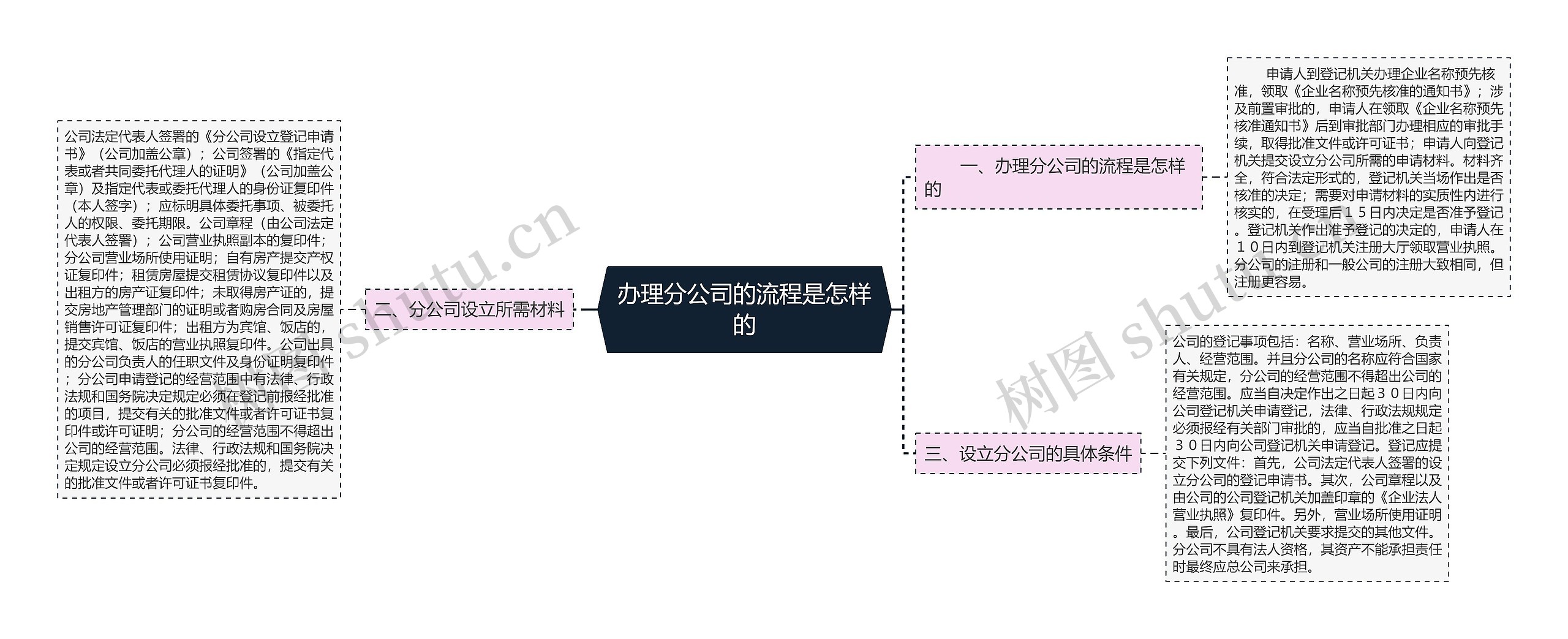 办理分公司的流程是怎样的