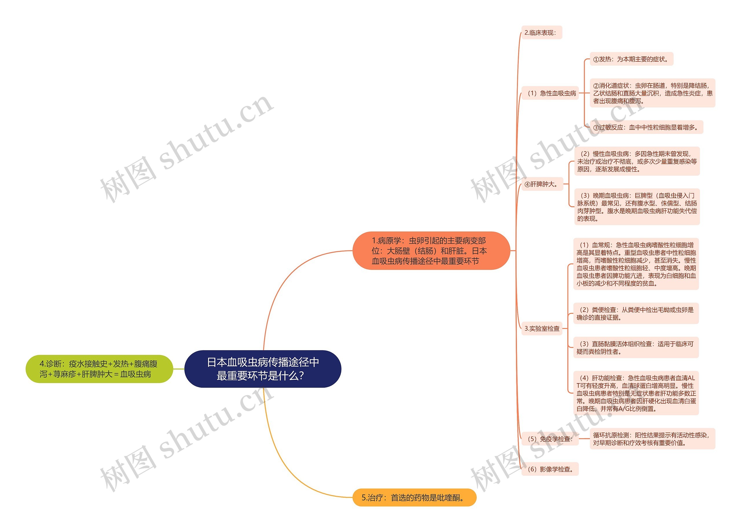 日本血吸虫病传播途径中最重要环节是什么？思维导图