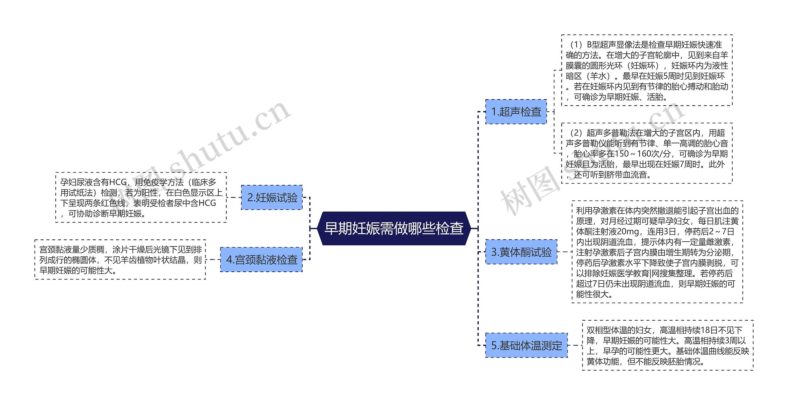 早期妊娠需做哪些检查