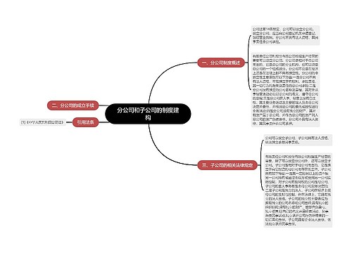 分公司和子公司的制度建构