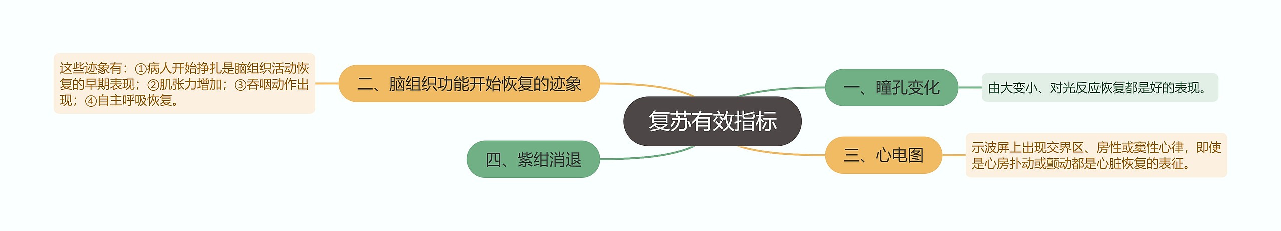 复苏有效指标思维导图