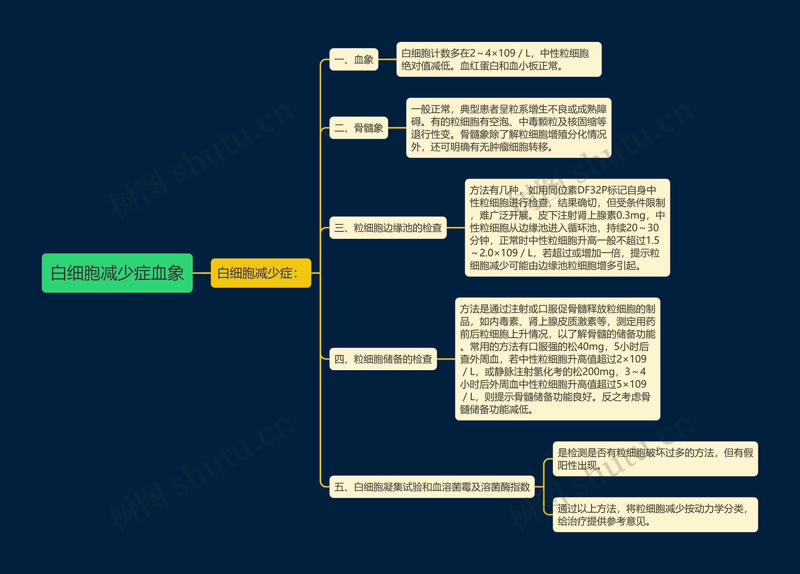 白细胞减少症血象思维导图