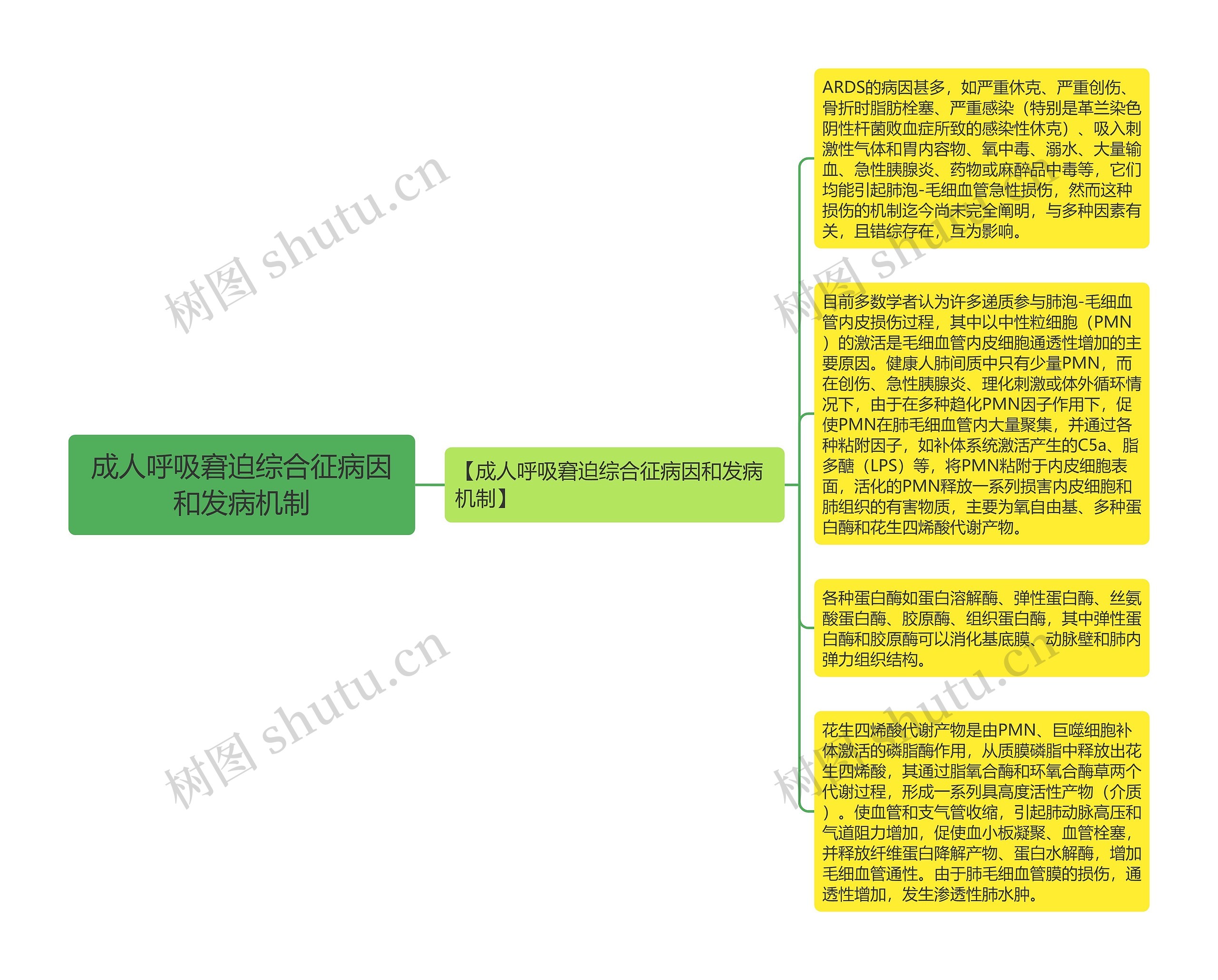 成人呼吸窘迫综合征病因和发病机制