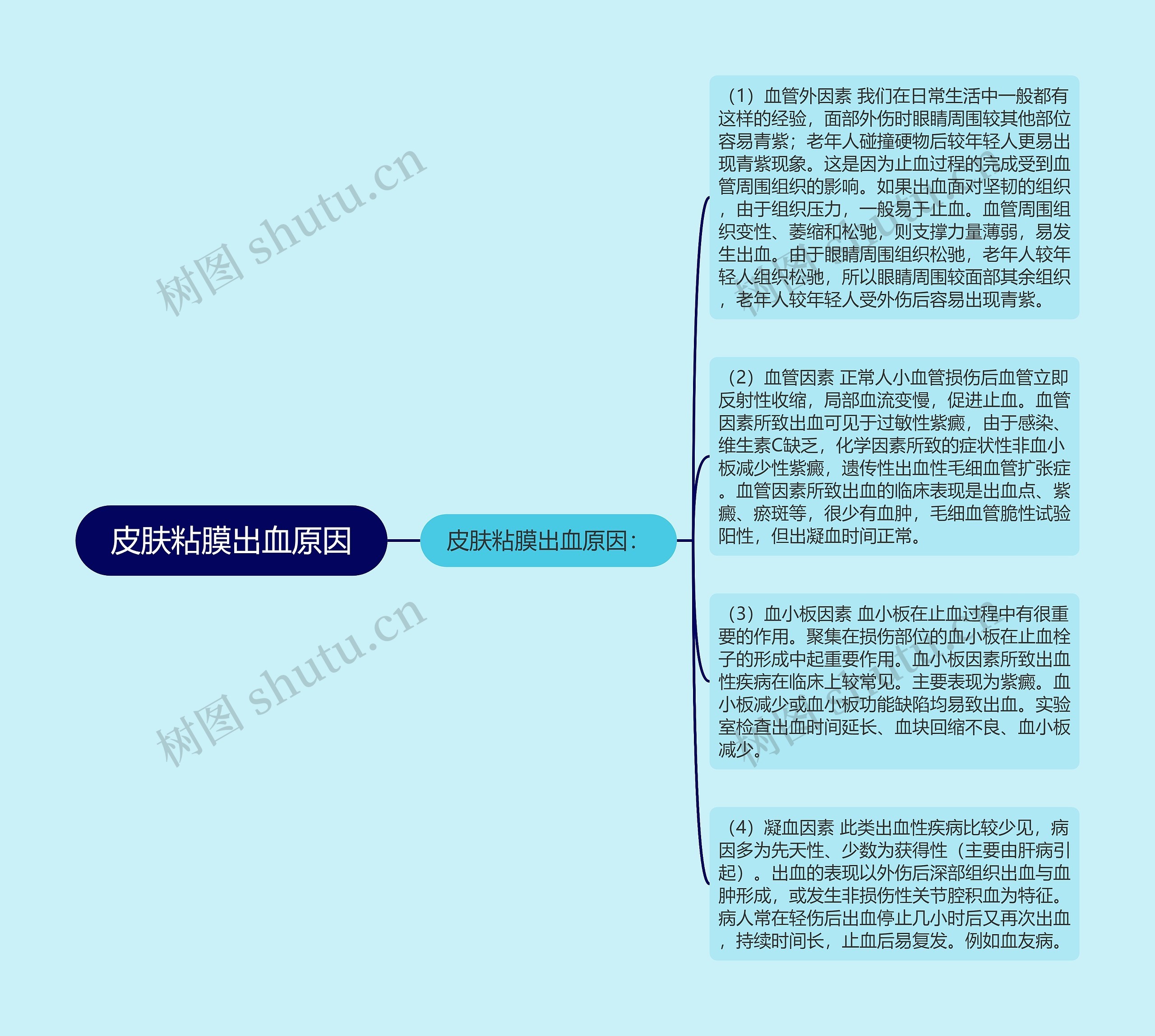 皮肤粘膜出血原因思维导图