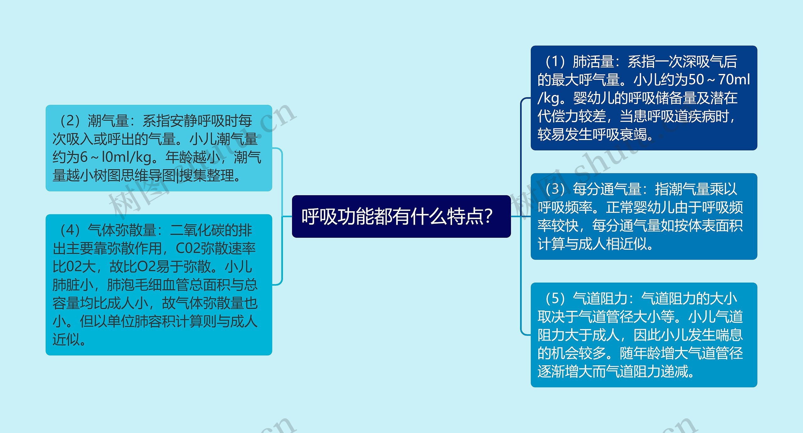 呼吸功能都有什么特点？思维导图