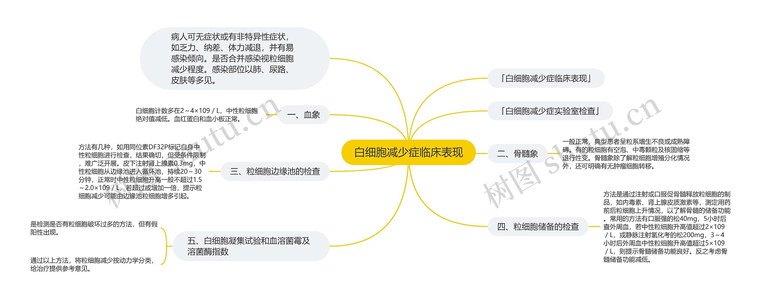 白细胞减少症临床表现思维导图