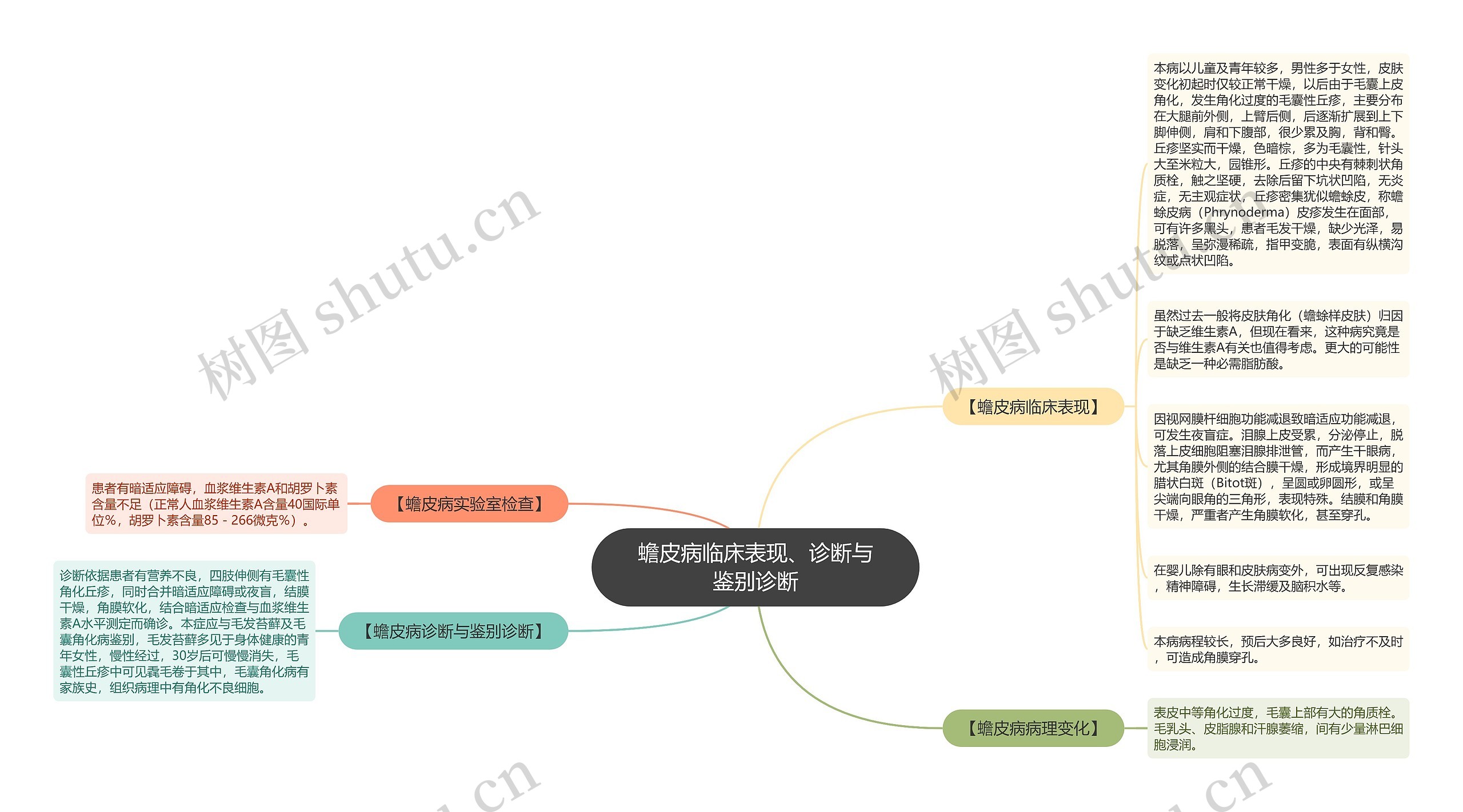 蟾皮病临床表现、诊断与鉴别诊断