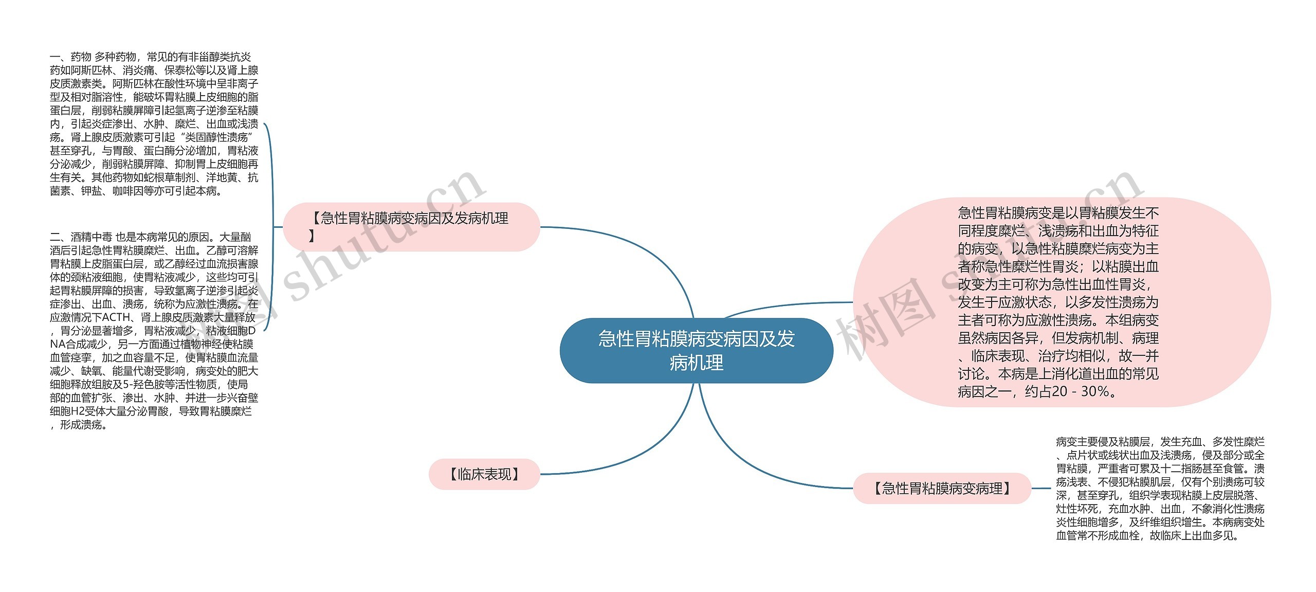 急性胃粘膜病变病因及发病机理思维导图