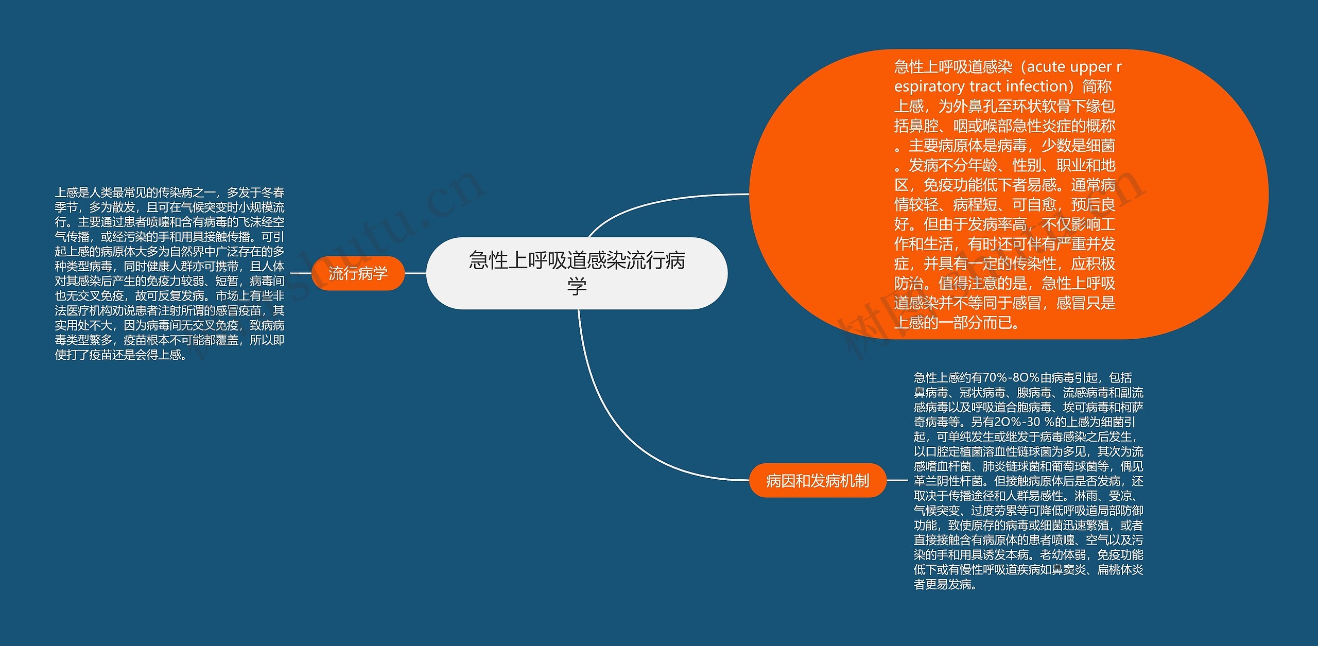 急性上呼吸道感染流行病学思维导图