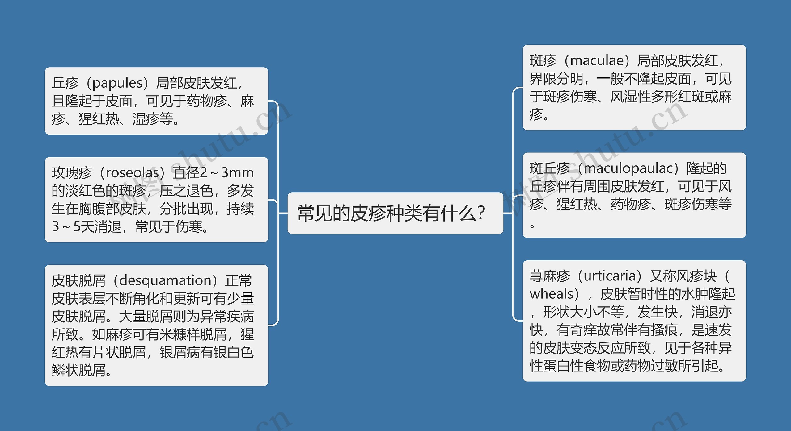 常见的皮疹种类有什么？