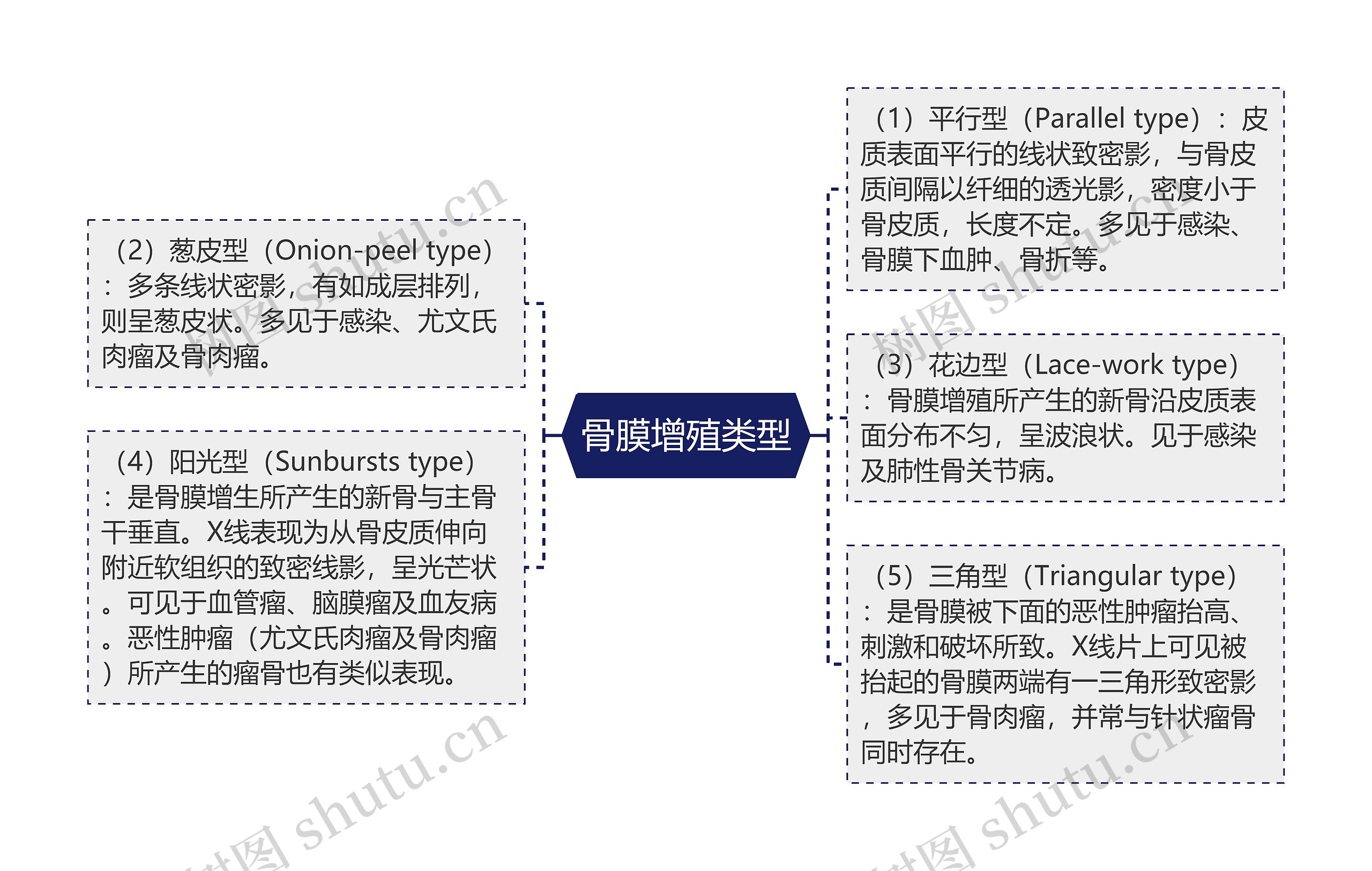 骨膜增殖类型思维导图