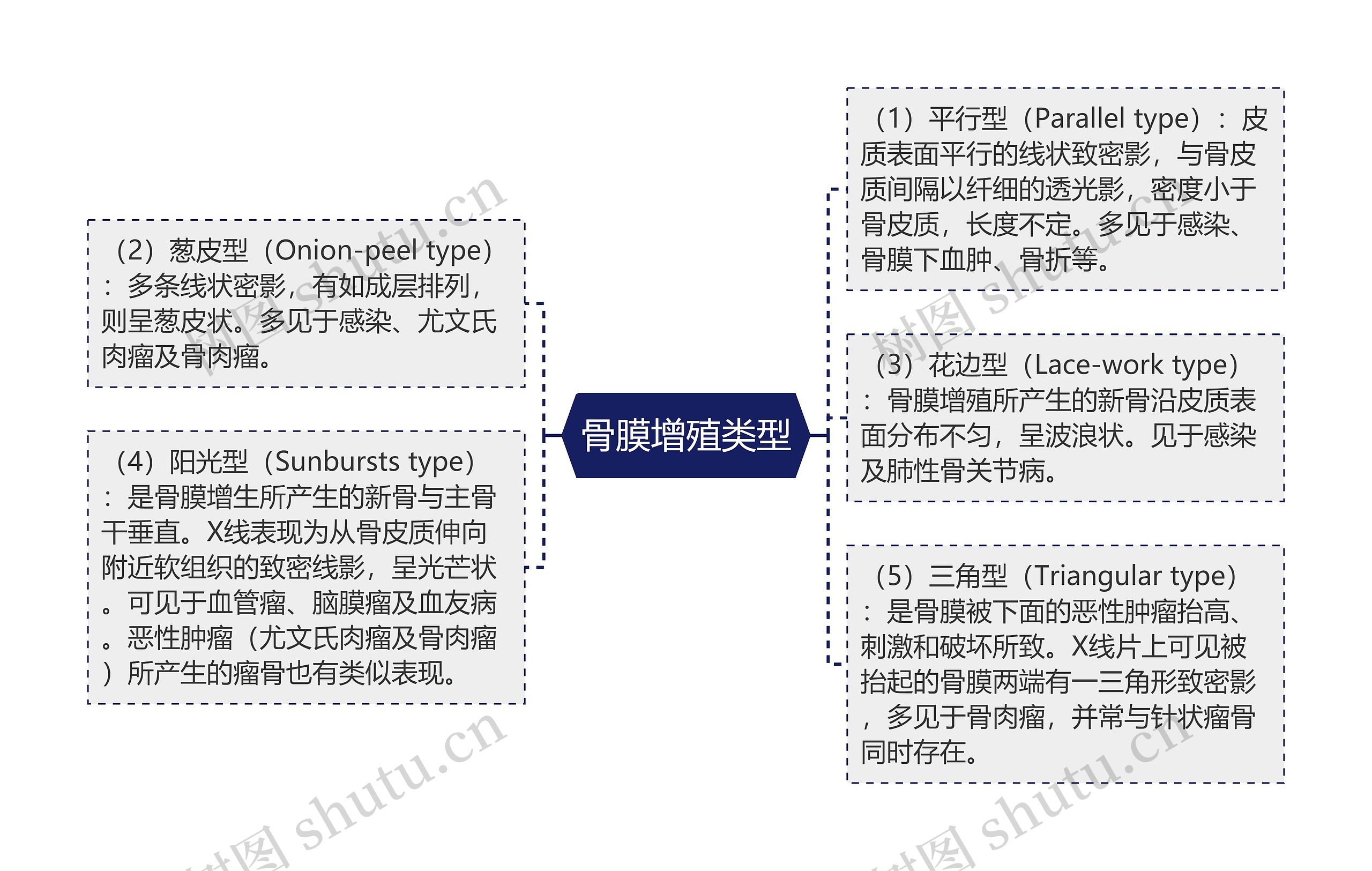 骨膜增殖类型 骨膜增殖类型