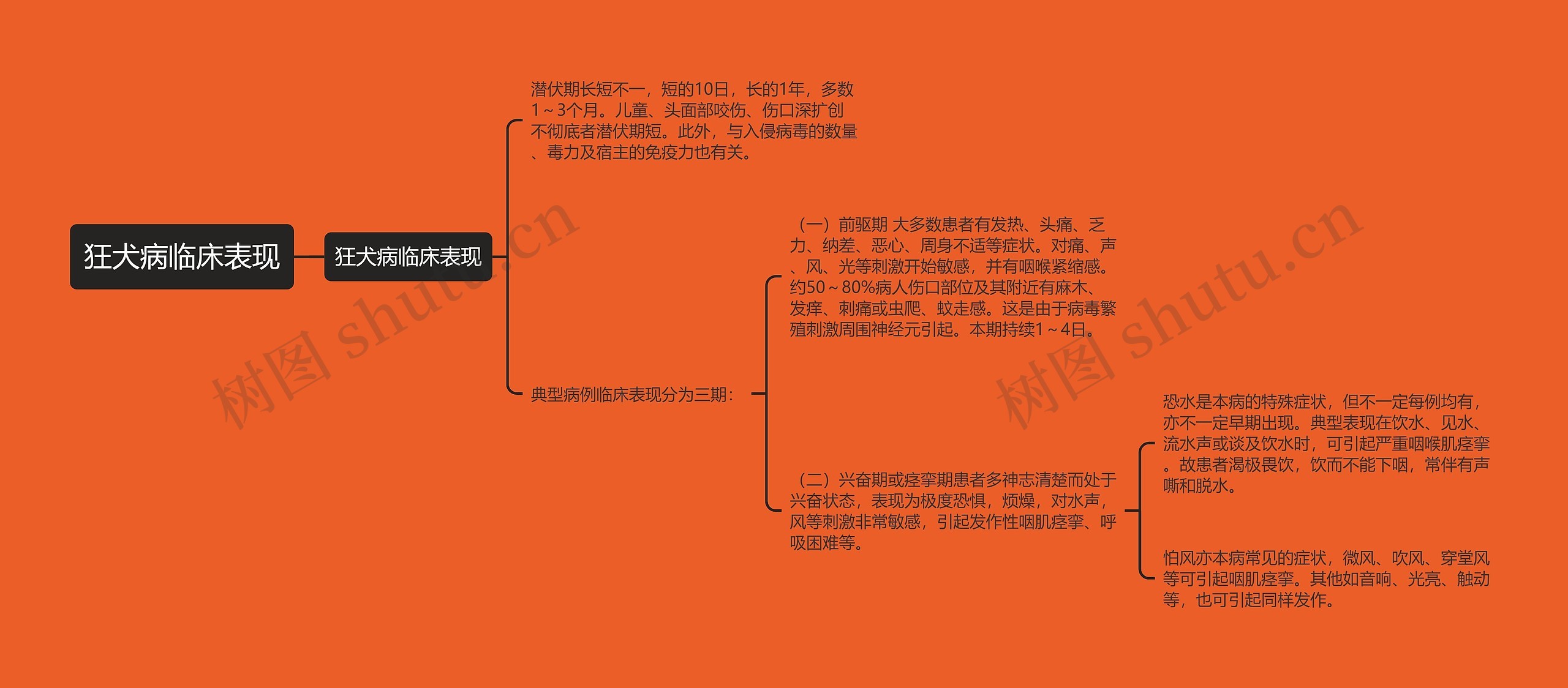 狂犬病临床表现思维导图