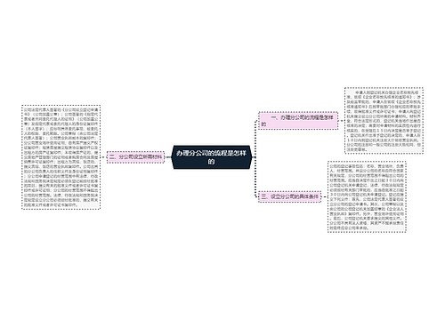 办理分公司的流程是怎样的