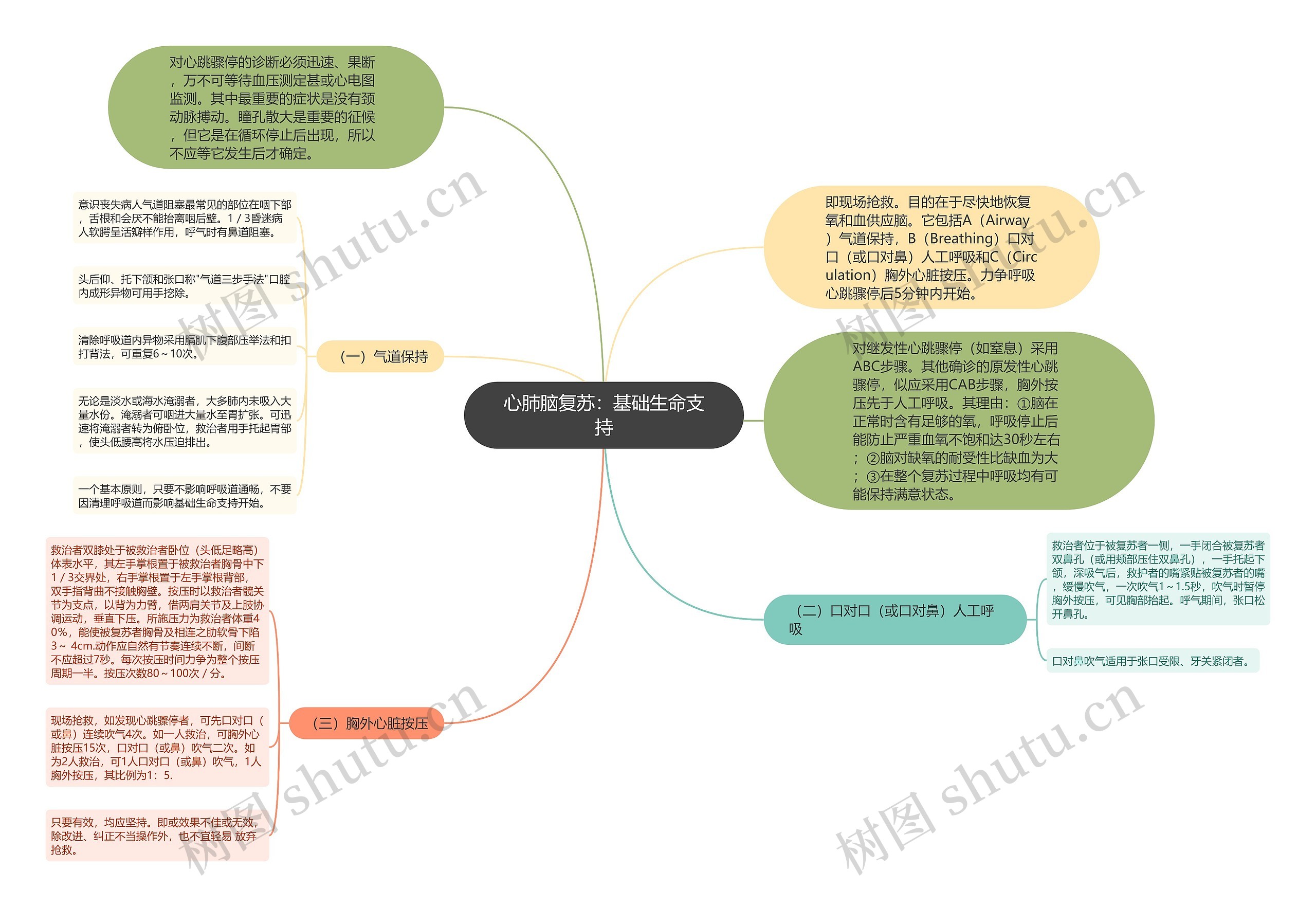 心肺脑复苏：基础生命支持思维导图