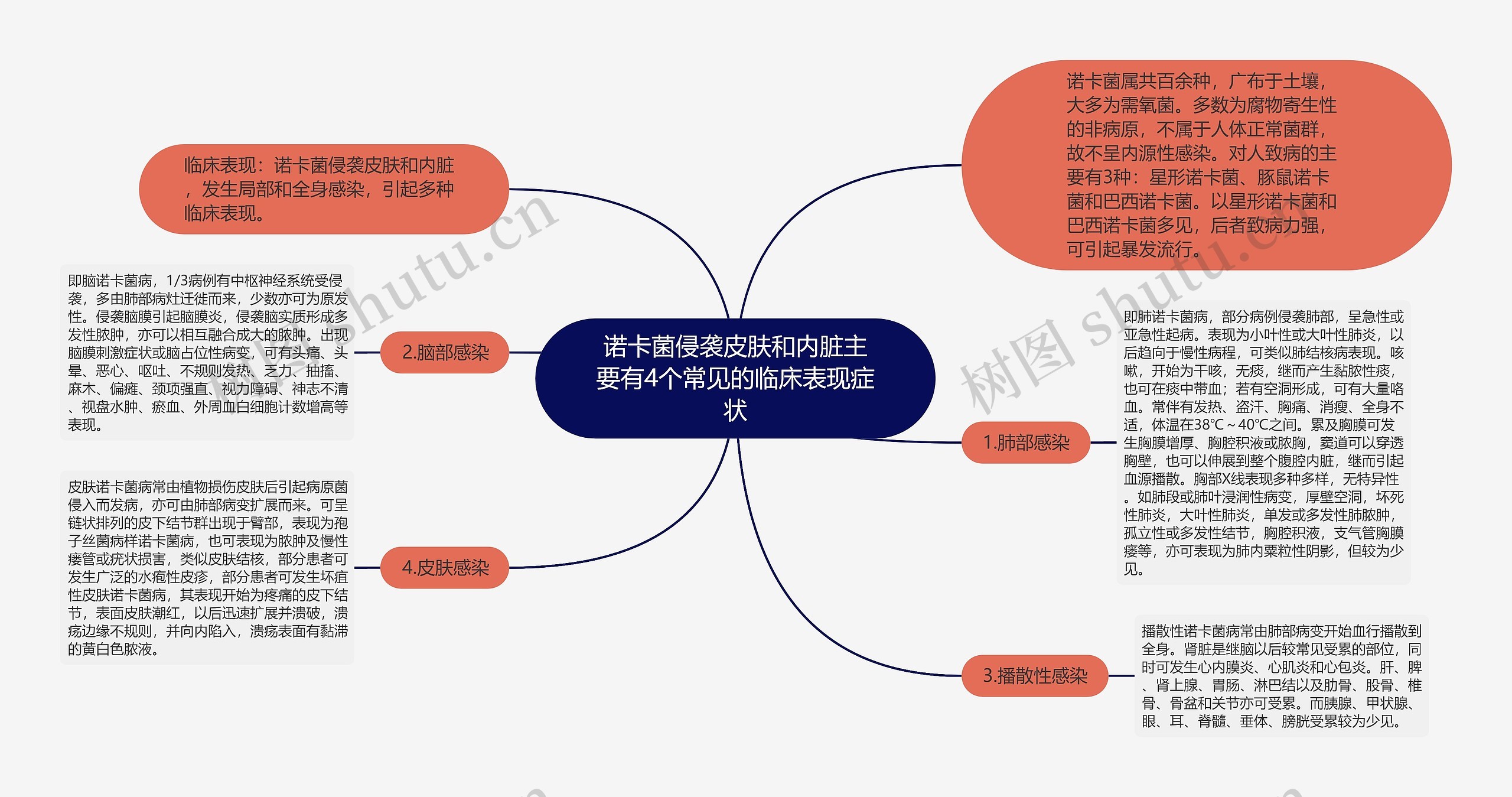 诺卡菌侵袭皮肤和内脏主要有4个常见的临床表现症状思维导图