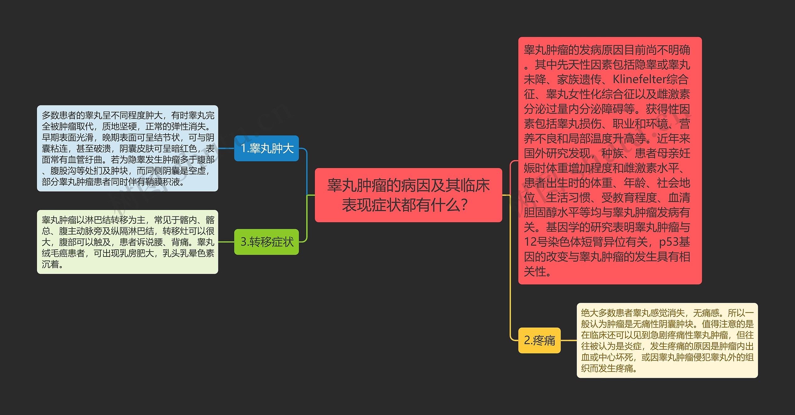 睾丸肿瘤的病因及其临床表现症状都有什么？思维导图