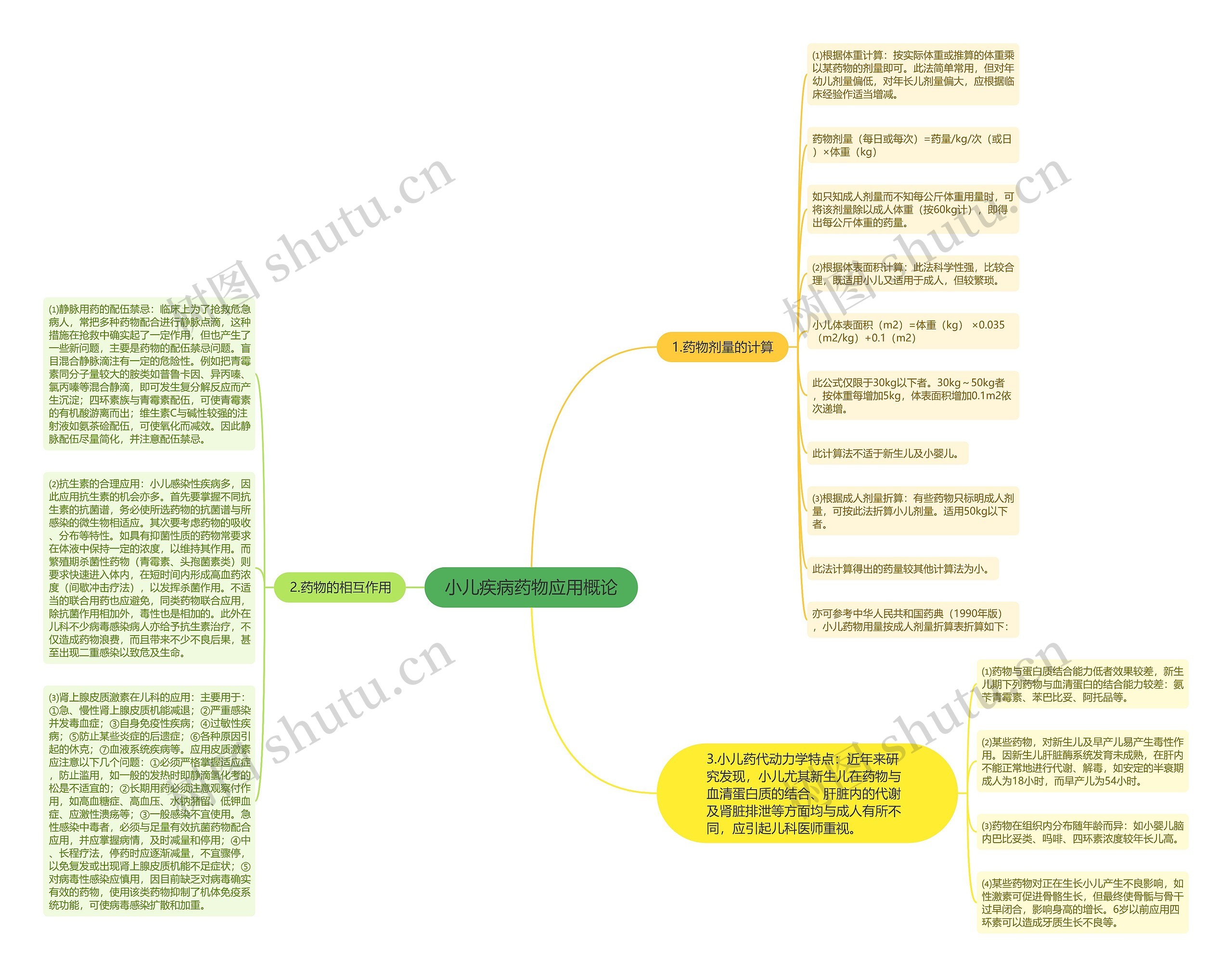 小儿疾病药物应用概论思维导图