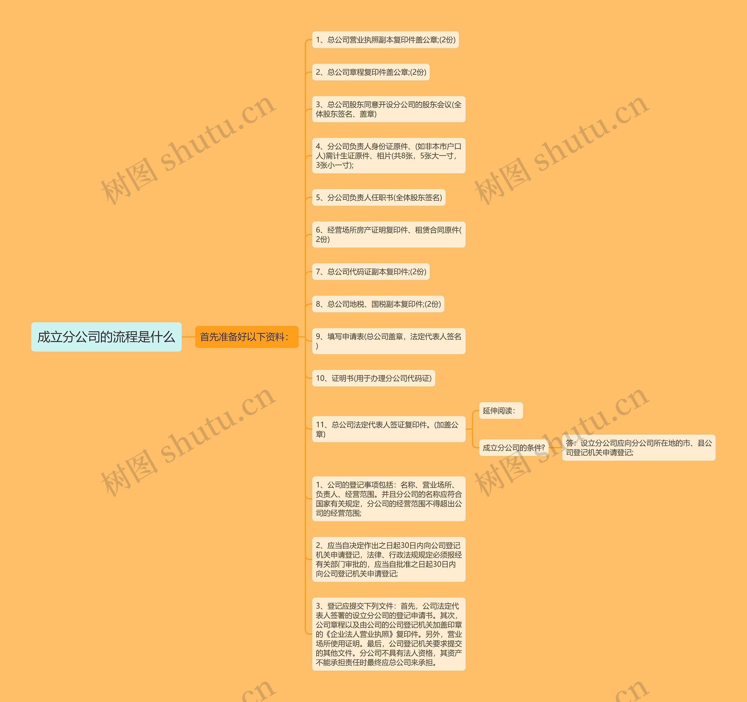成立分公司的流程是什么思维导图