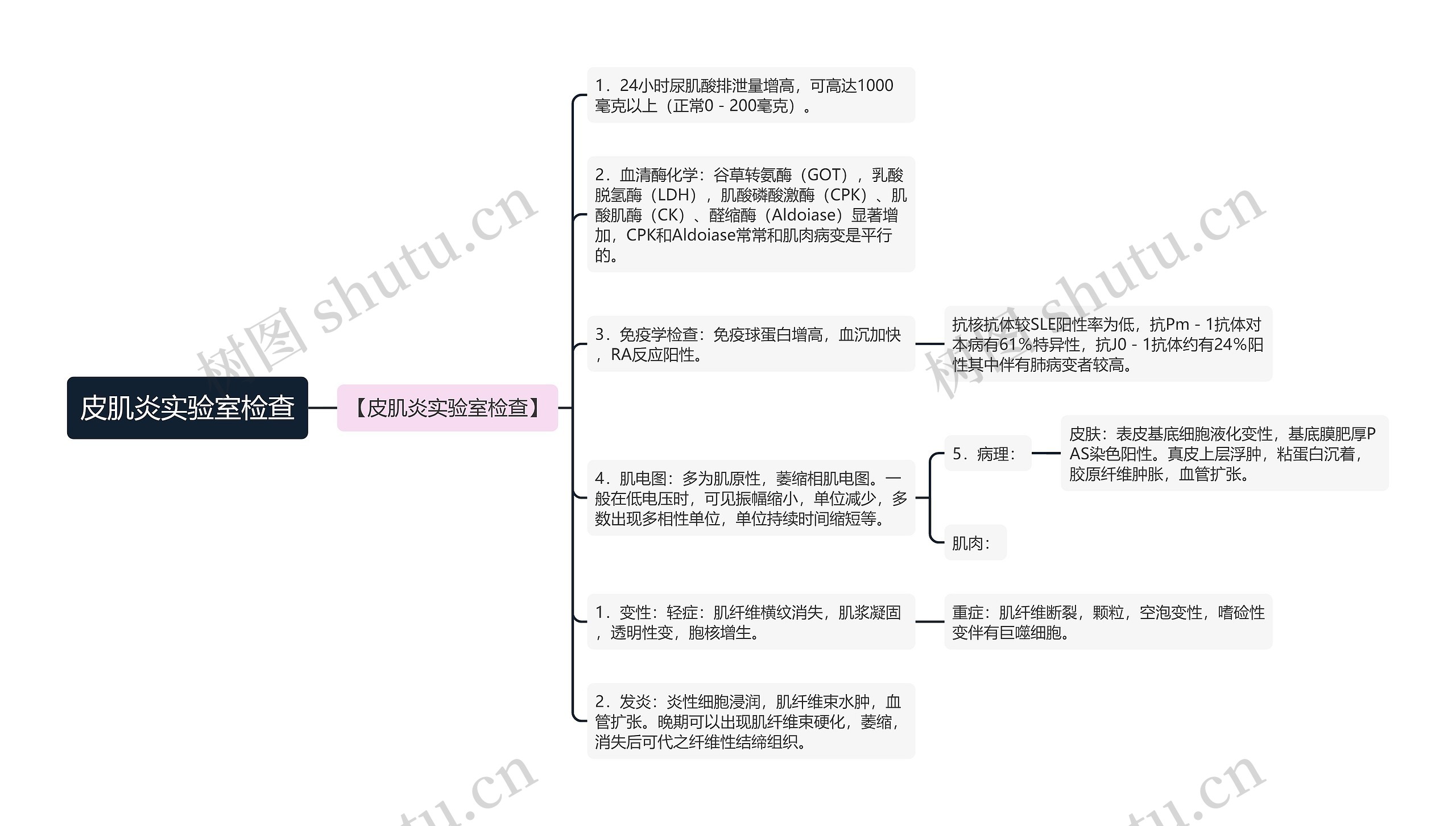 皮肌炎实验室检查