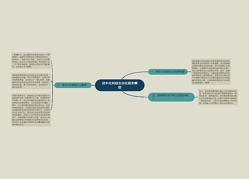 资本化利息支出在报表哪里