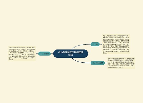 小儿神经系统的解剖生理特点