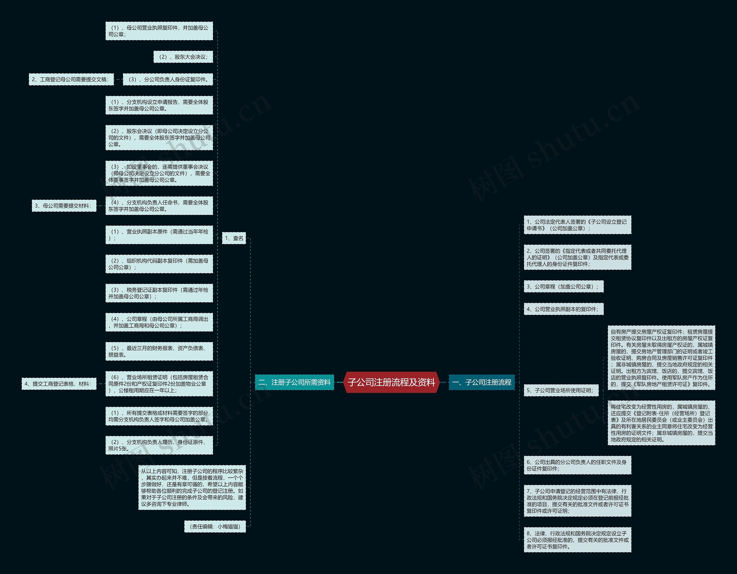 子公司注册流程及资料