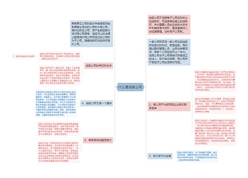 什么是控股公司