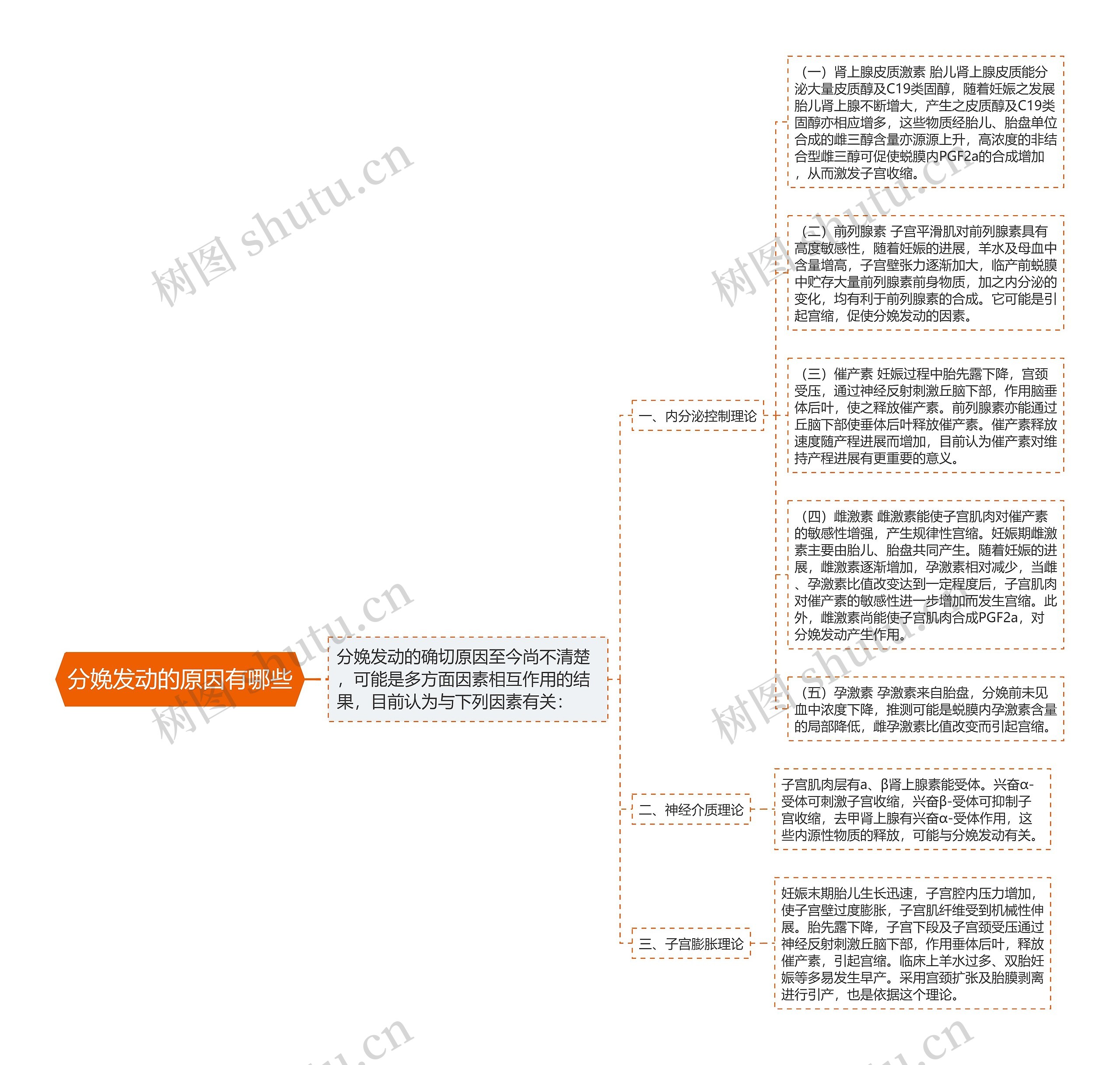 分娩发动的原因有哪些