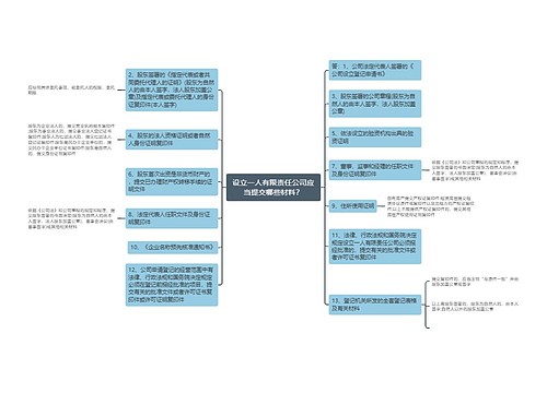 设立一人有限责任公司应当提交哪些材料？