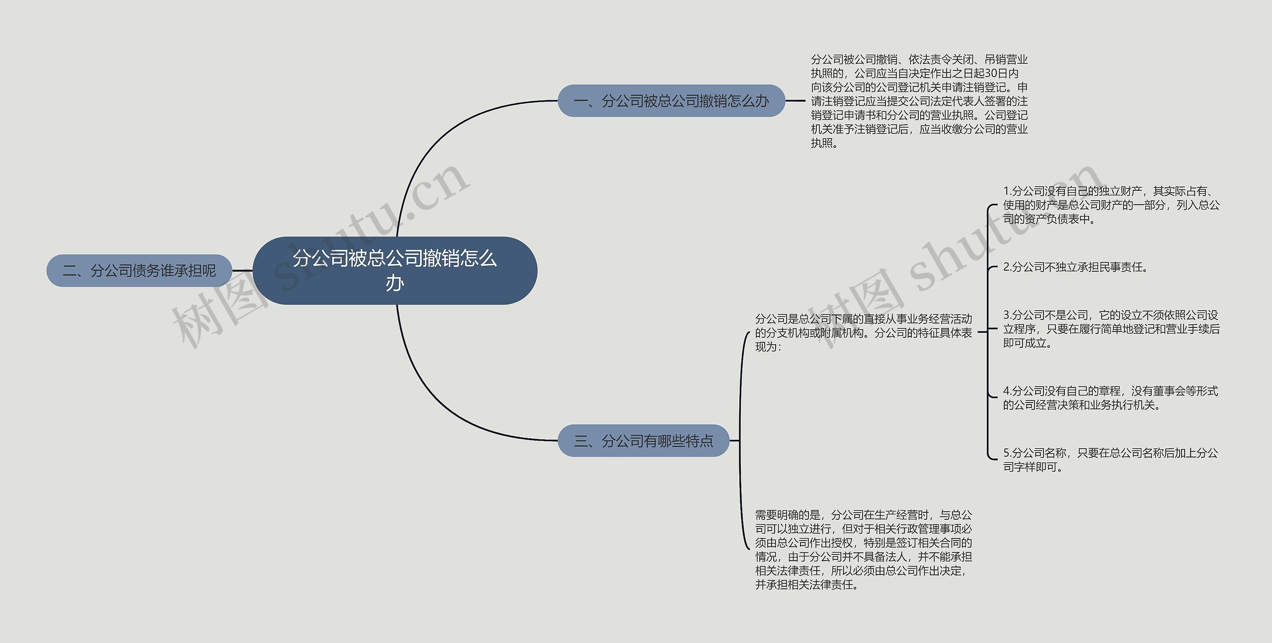 分公司被总公司撤销怎么办思维导图