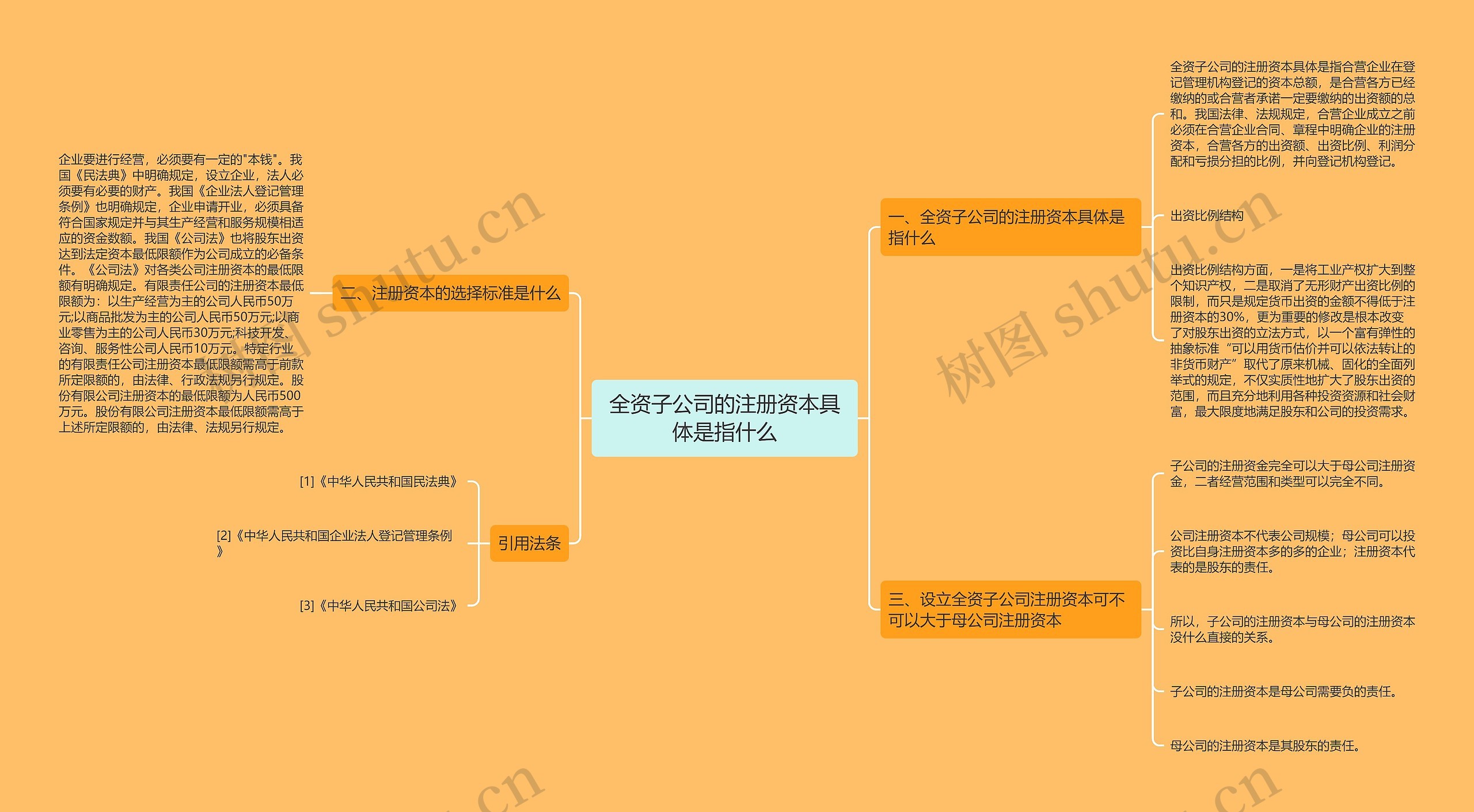 全资子公司的注册资本具体是指什么