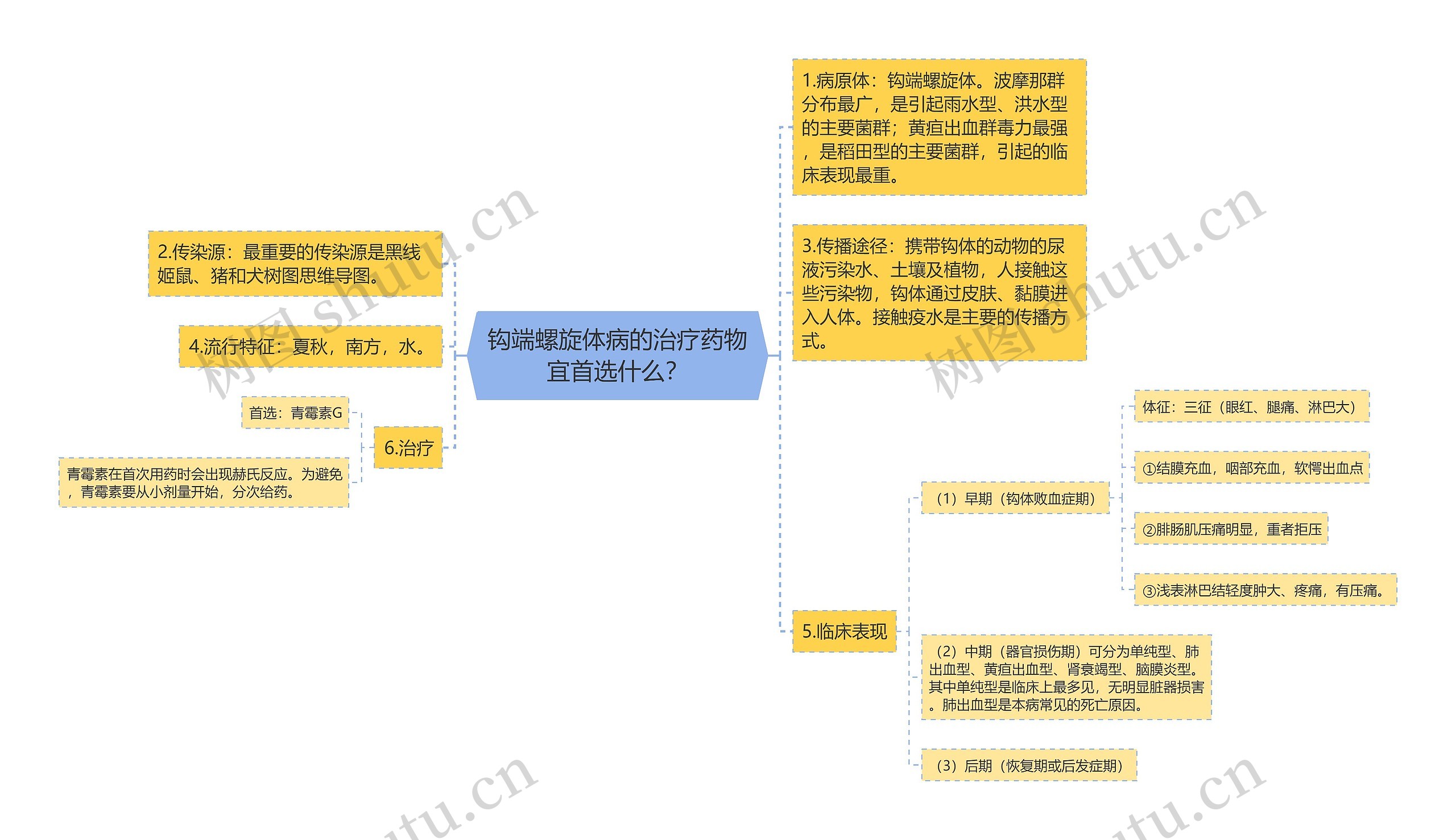 钩端螺旋体病的治疗药物宜首选什么？思维导图