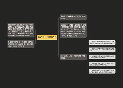 全资子公司的含义?