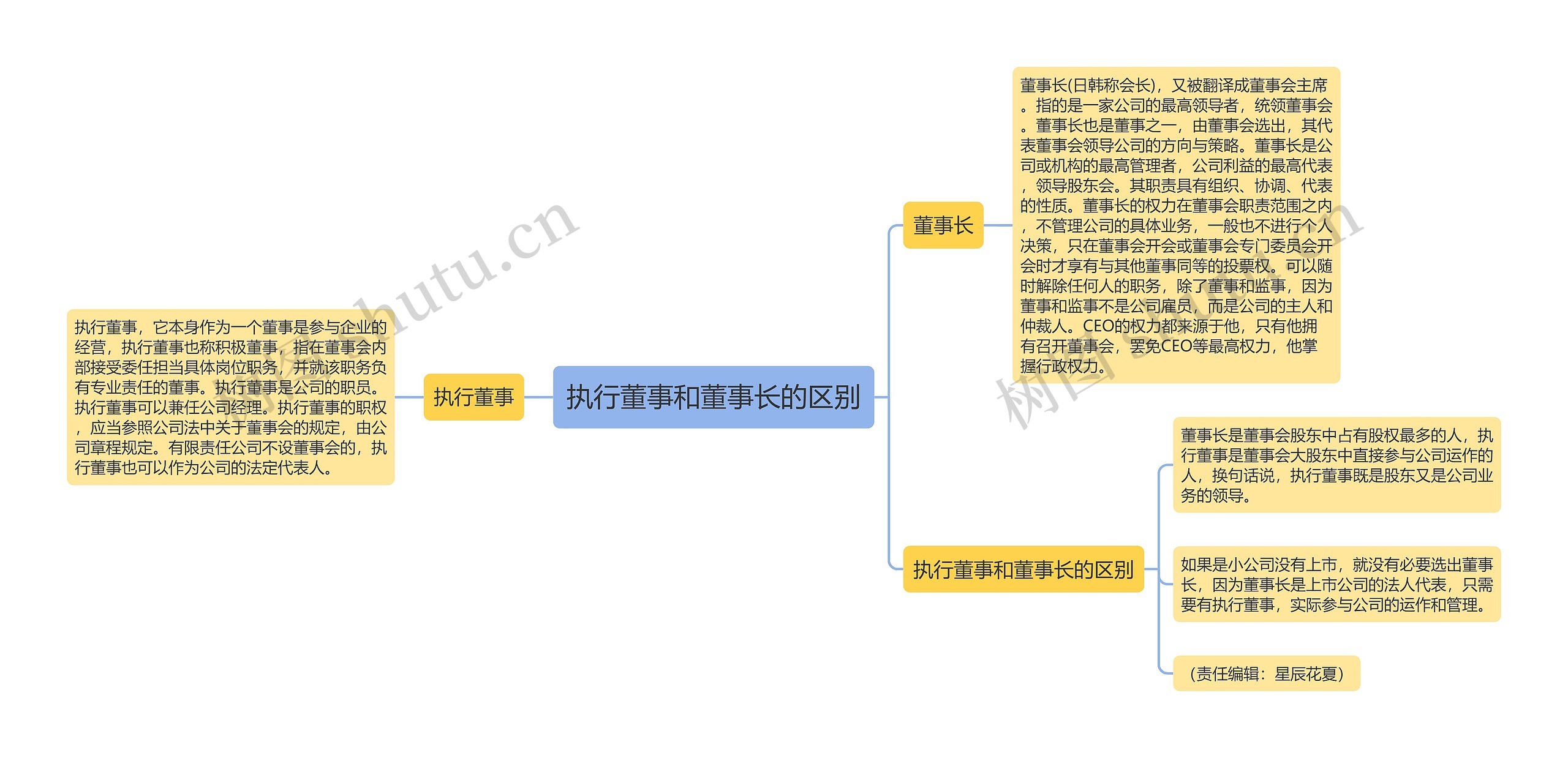 执行董事和董事长的区别思维导图