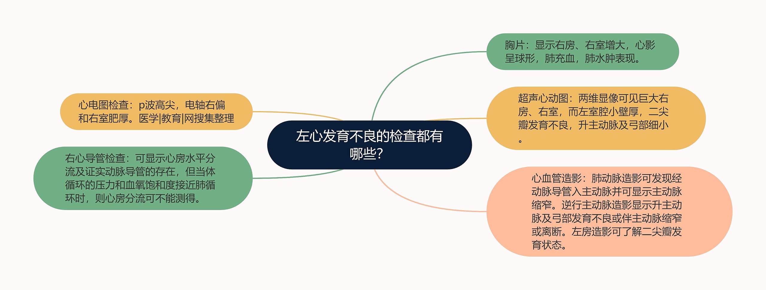 左心发育不良的检查都有哪些？思维导图