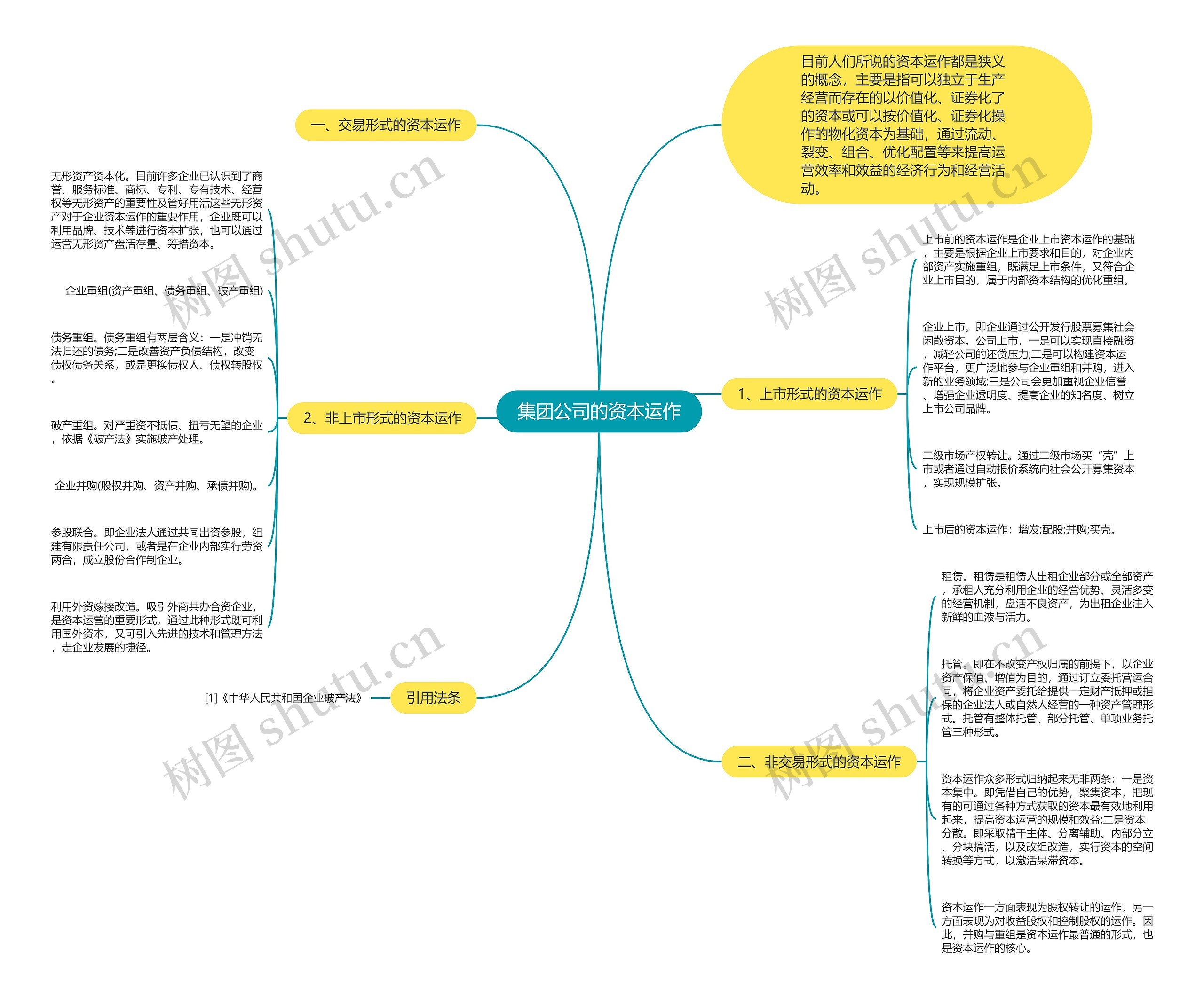 集团公司的资本运作 集团公司的资本运作