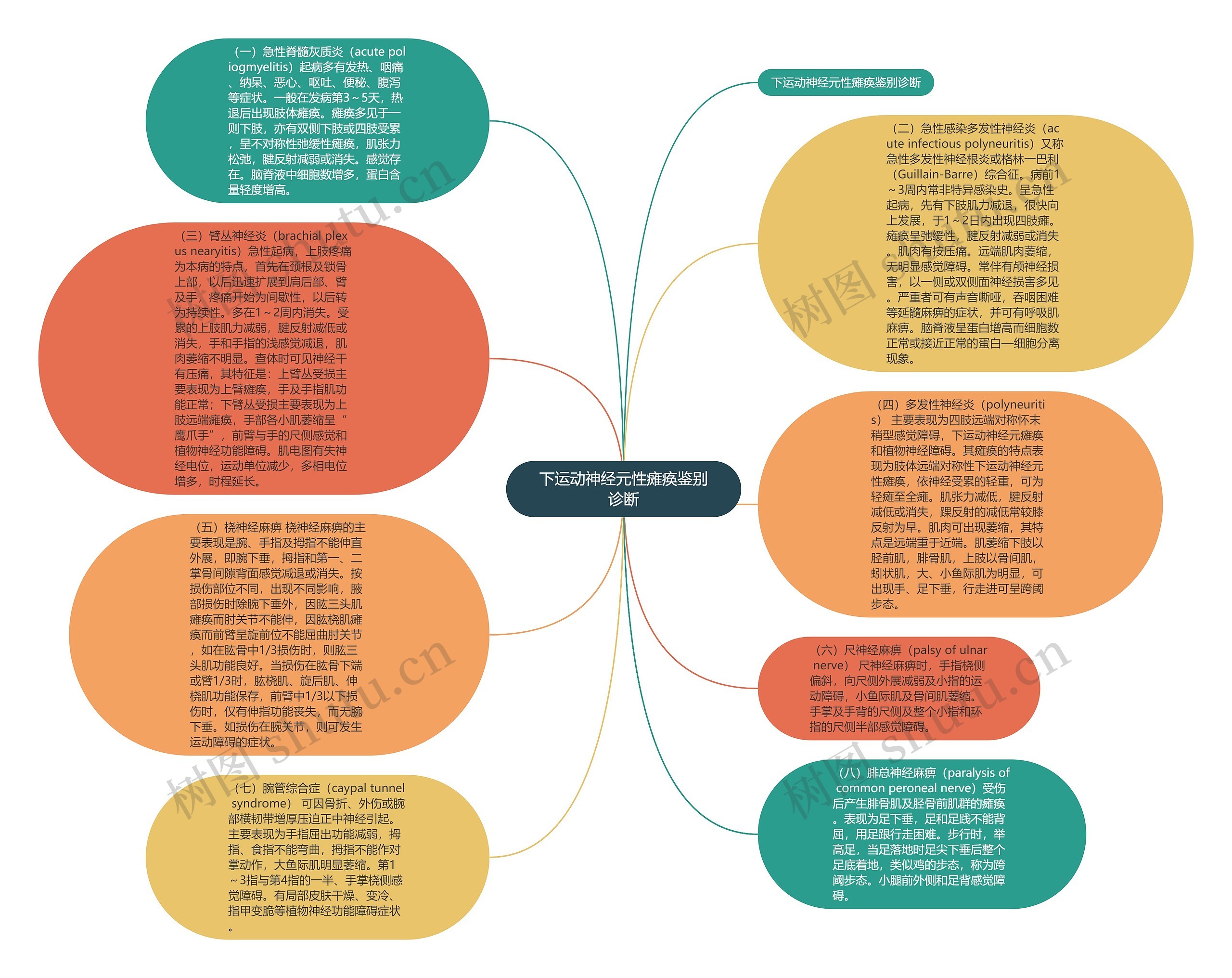 下运动神经元性瘫痪鉴别诊断思维导图