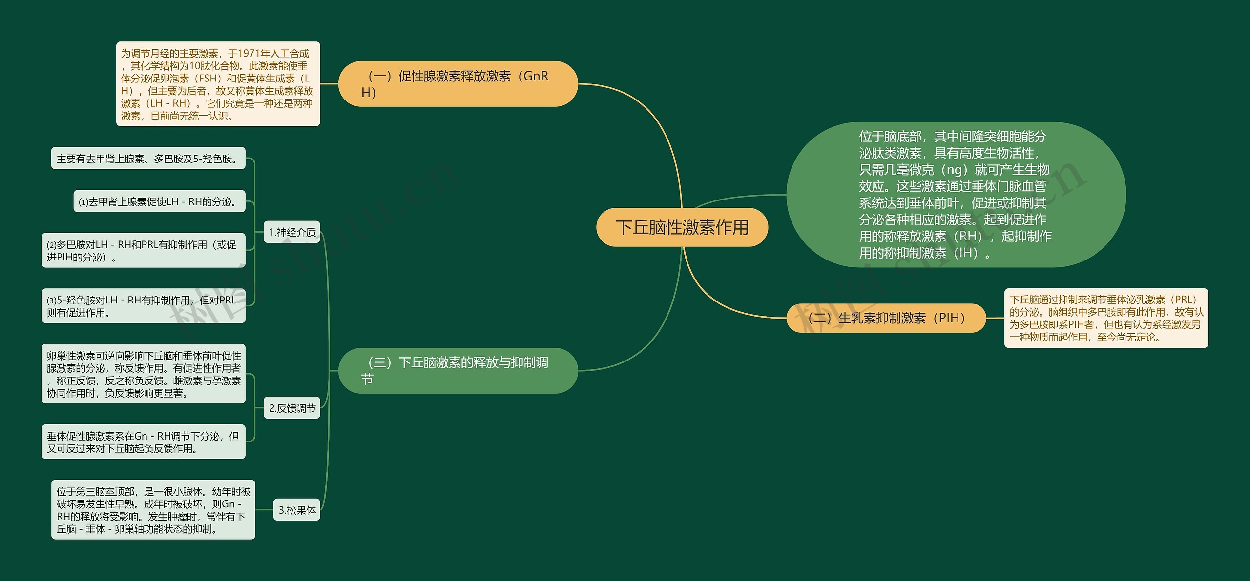 下丘脑性激素作用思维导图