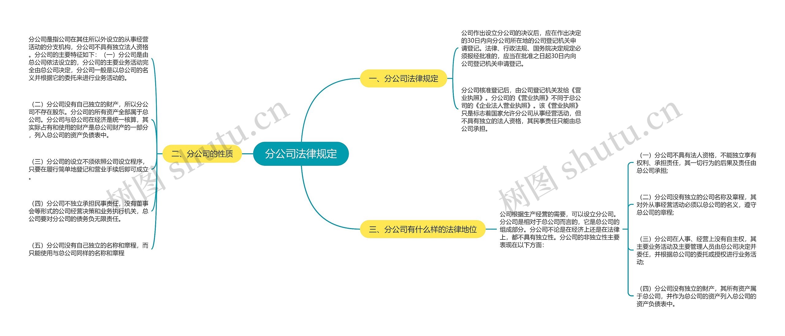 分公司法律规定