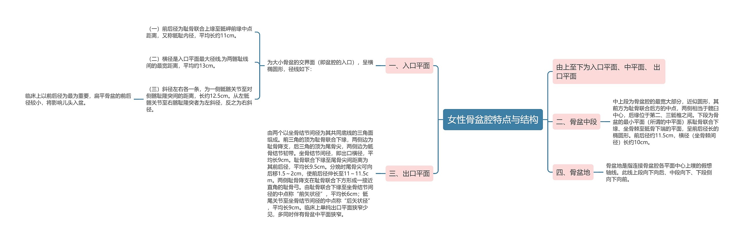 女性骨盆腔特点与结构思维导图