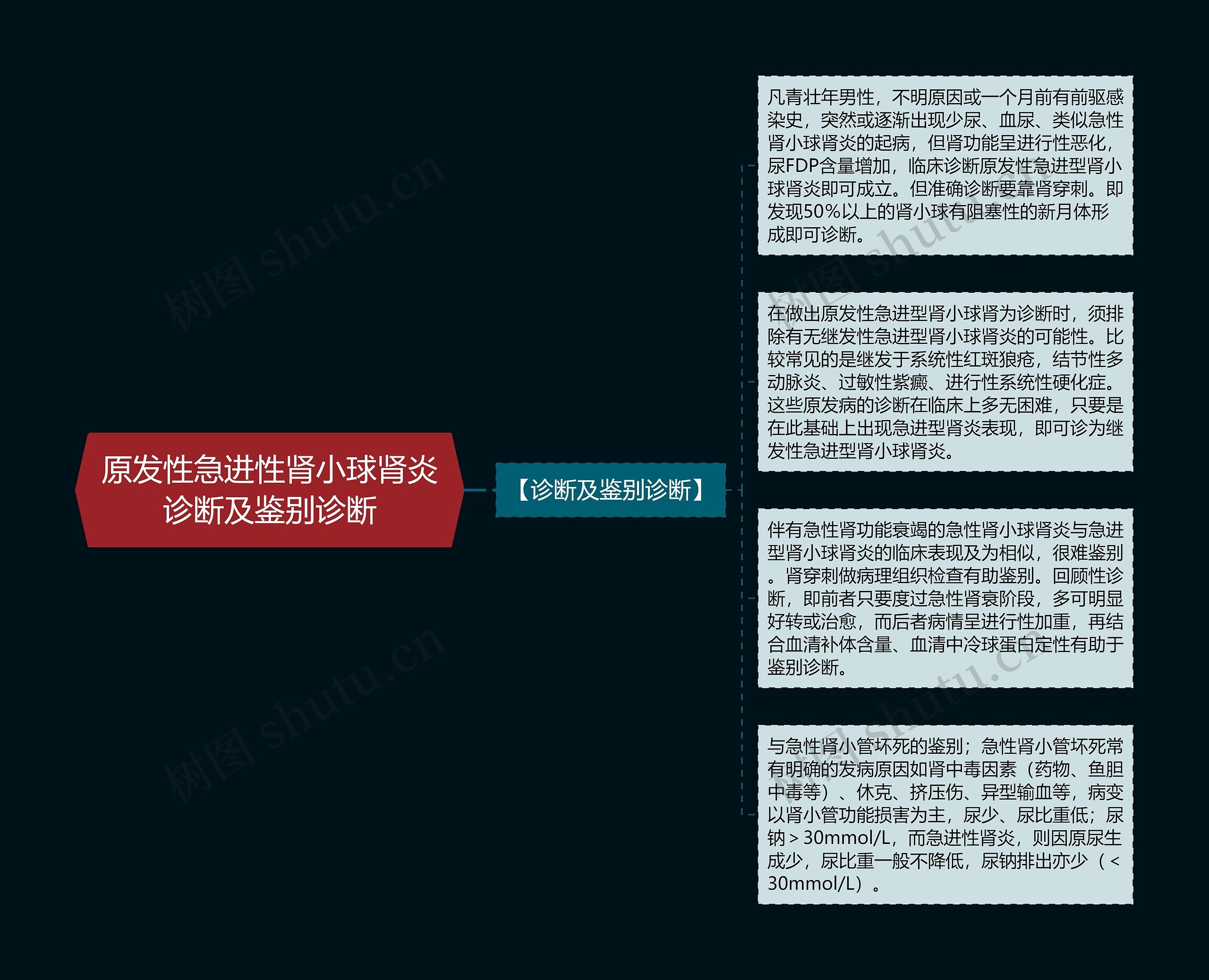 原发性急进性肾小球肾炎诊断及鉴别诊断思维导图