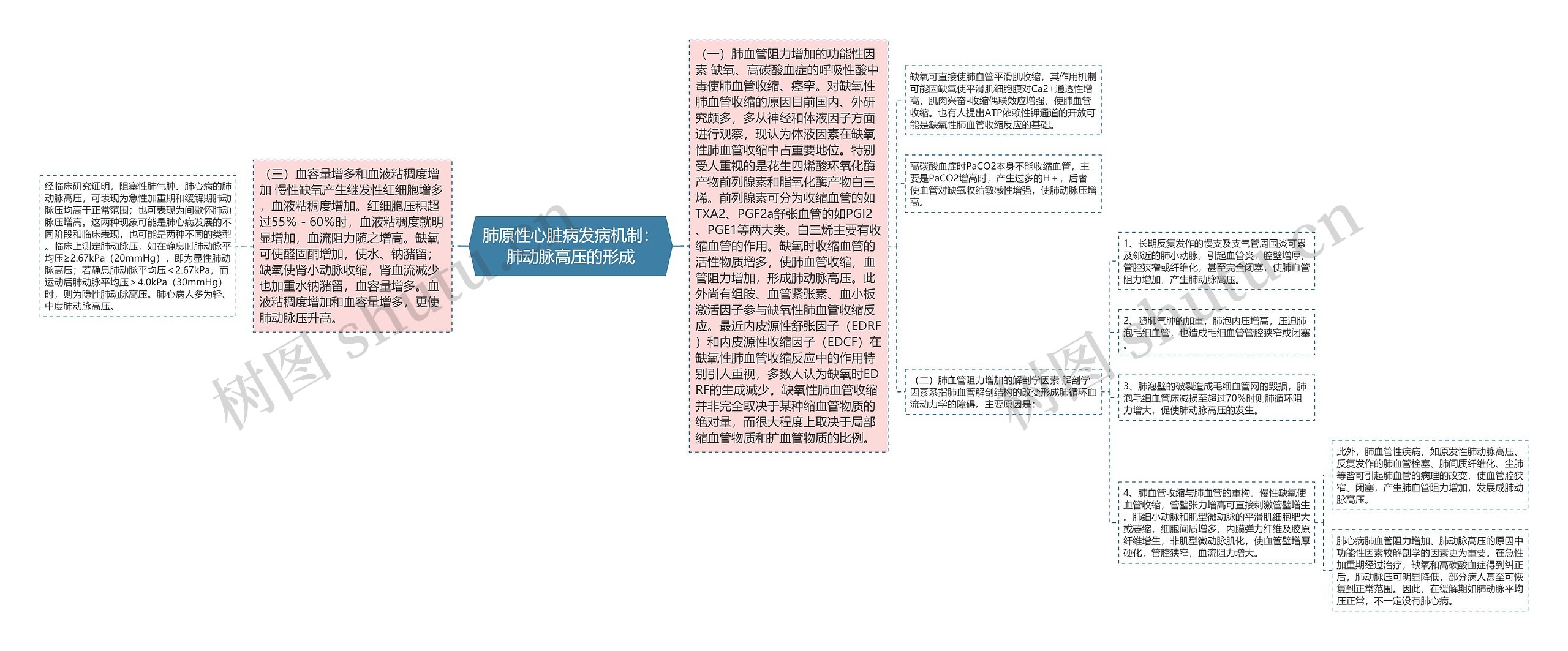 肺原性心脏病发病机制：肺动脉高压的形成