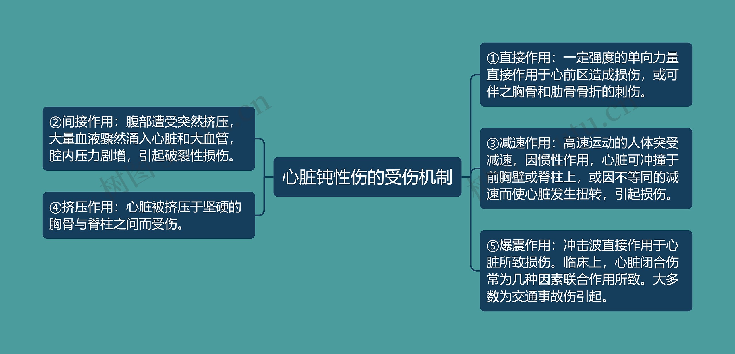 心脏钝性伤的受伤机制