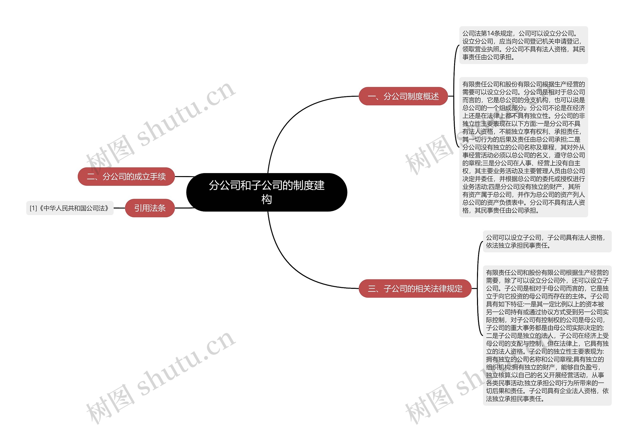 分公司和子公司的制度建构