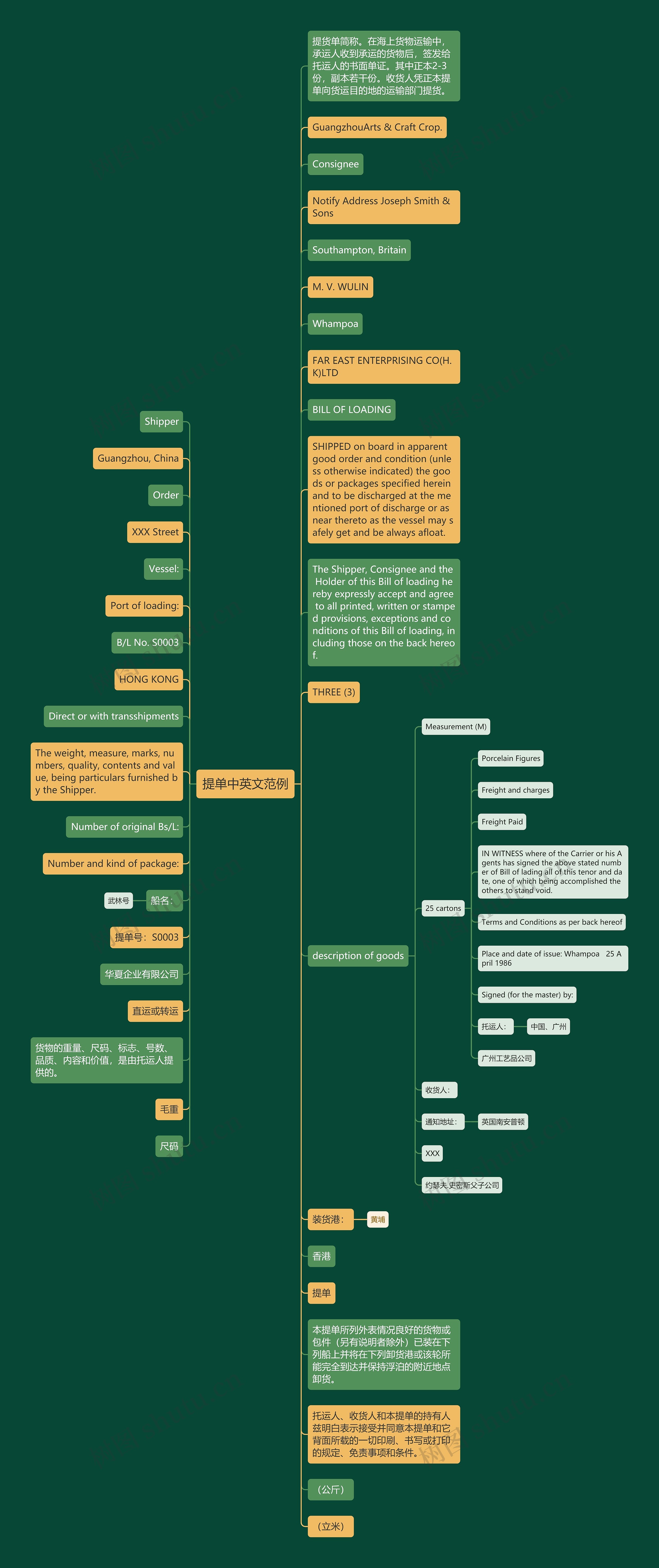 提单中英文范例思维导图